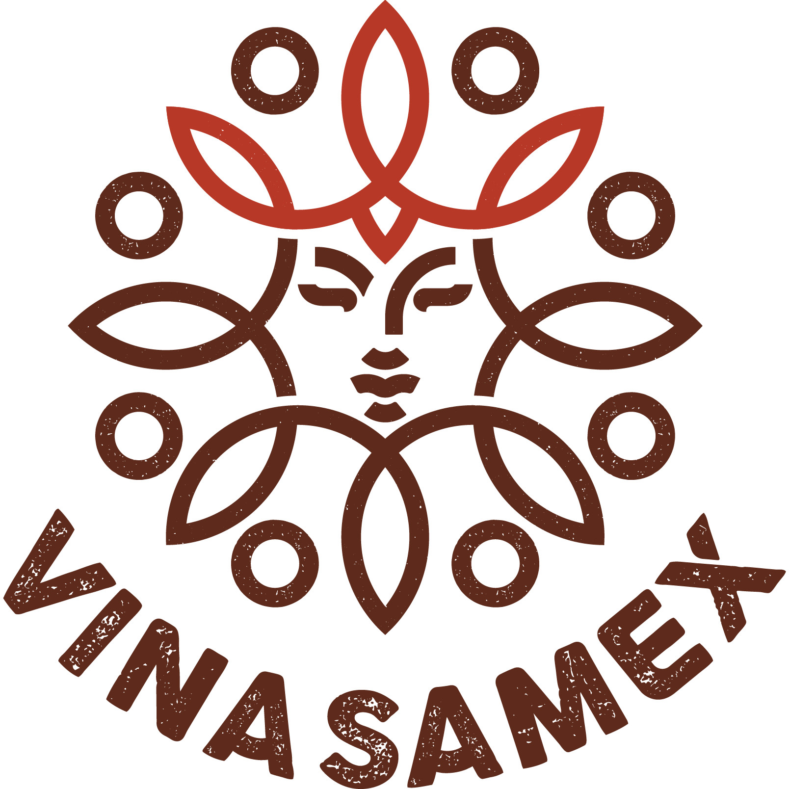 Logo Vinasamex